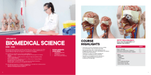 Chemical and Life Sciences 2020 5