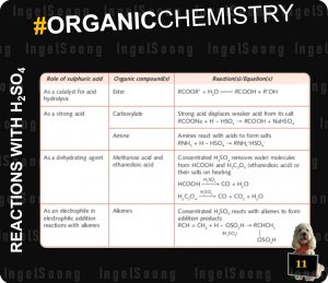 Organic chemistry summary 11