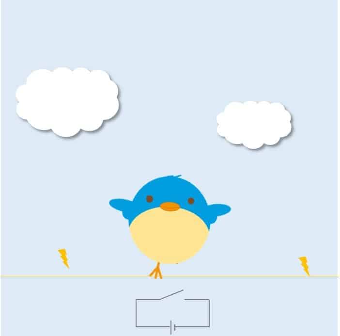 Bird on Live Wire Open Circuit