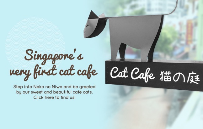 Cat Cafe Neko No Niwa