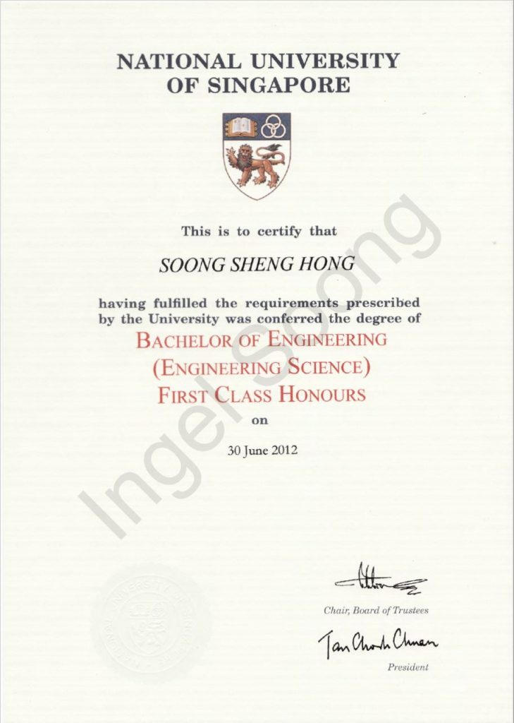 Ingel Soong NUS Certificate