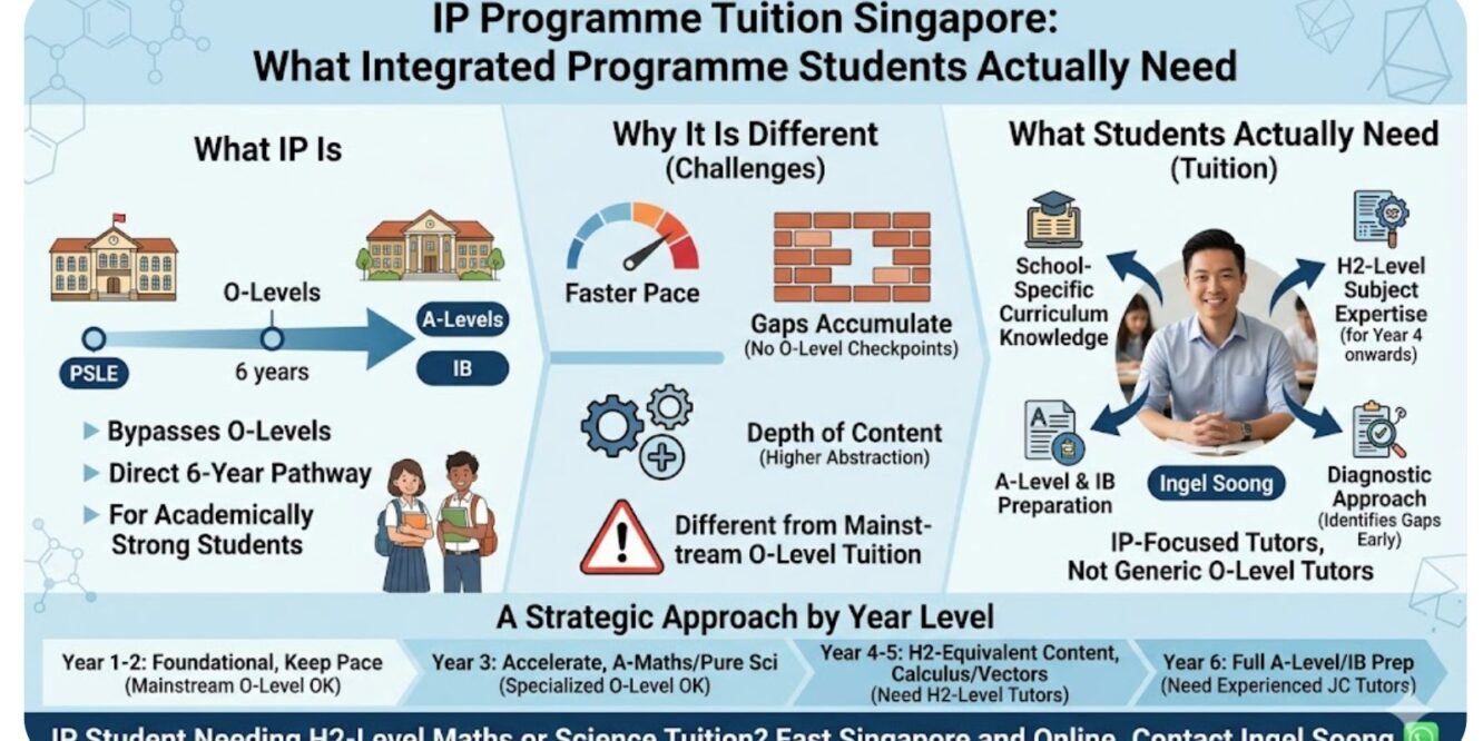 What the Integrated Programme Actually Is and How It Works