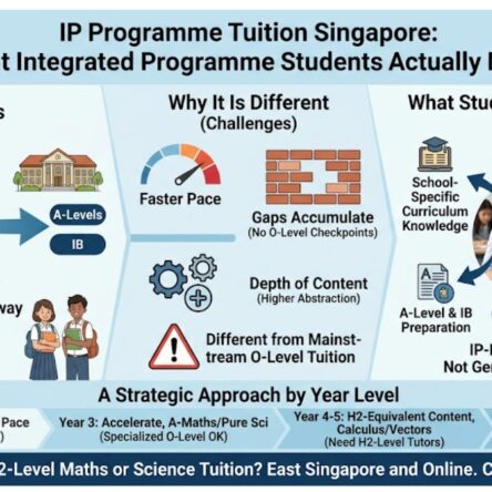 What the Integrated Programme Actually Is and How It Works