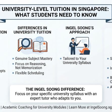 University-Level Tuition in Singapore